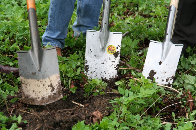 pepiniere-CAVALAIRE SUR MER-min_work-lawn-flower-tool-green-backyard-1103633-pxhere.com